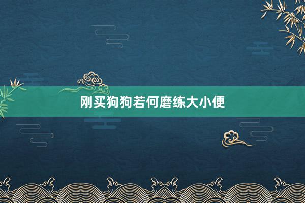 刚买狗狗若何磨练大小便